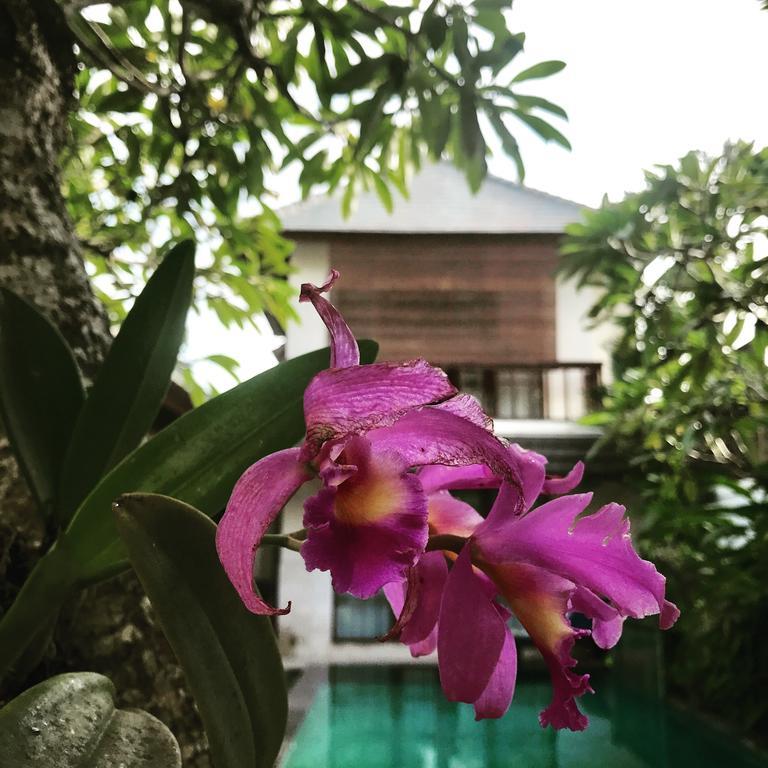 Bumi Ayu Villa Sanur Dış mekan fotoğraf